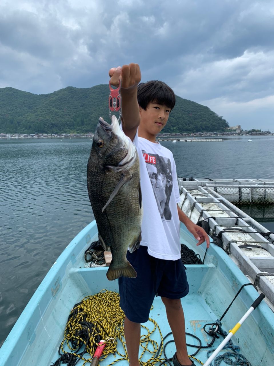 チヌ
