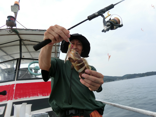 マハタの釣果