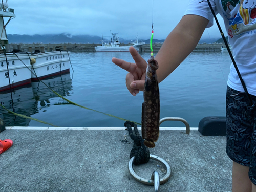 アナハゼの釣果