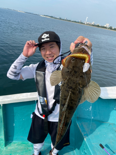 マゴチの釣果