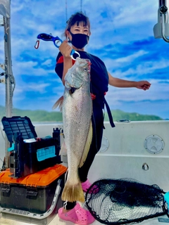 オオニベの釣果