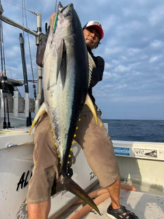 キハダマグロの釣果