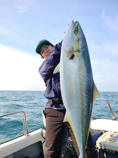 ブリの釣果