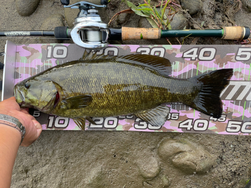 スモールマウスバスの釣果