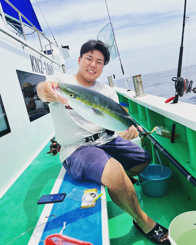 ワラサの釣果