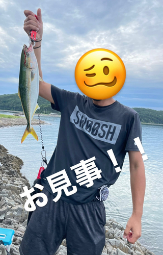 イナダの釣果