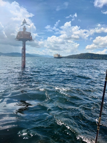 タチウオの釣果