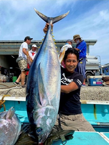 キハダマグロの釣果