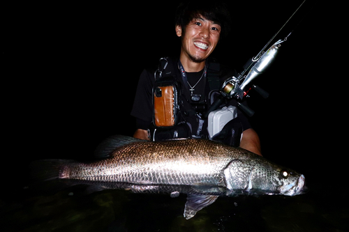 アカメの釣果