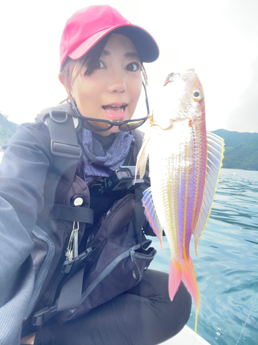 イトヨリダイの釣果