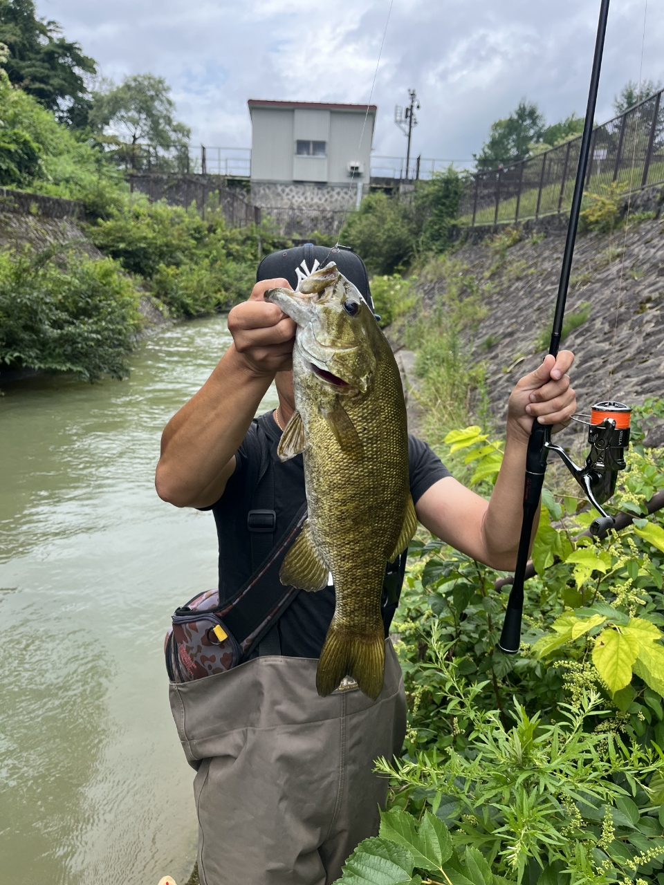 スモールマウスバス