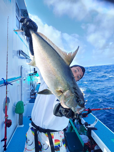 カンパチの釣果