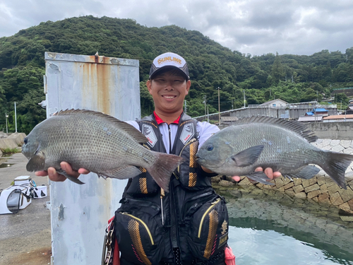 クロの釣果