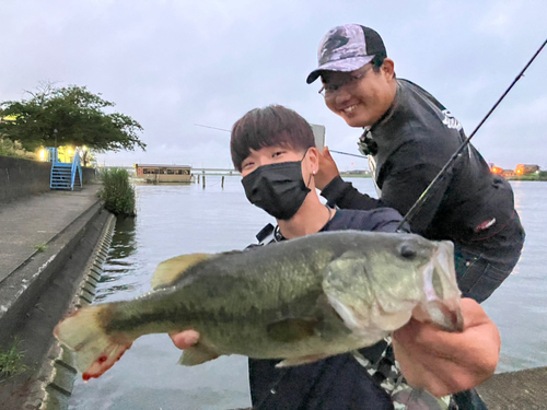 ブラックバスの釣果