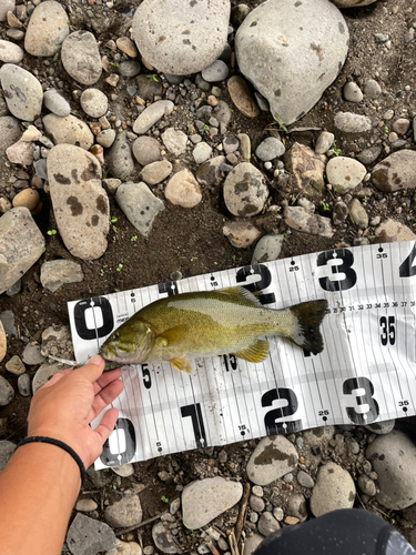 スモールマウスバスの釣果