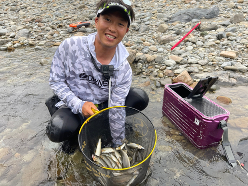 アユの釣果