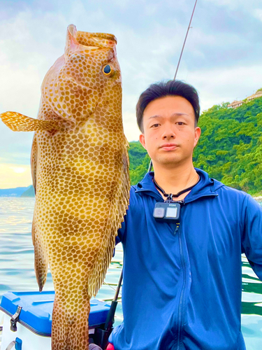 オオモンハタの釣果