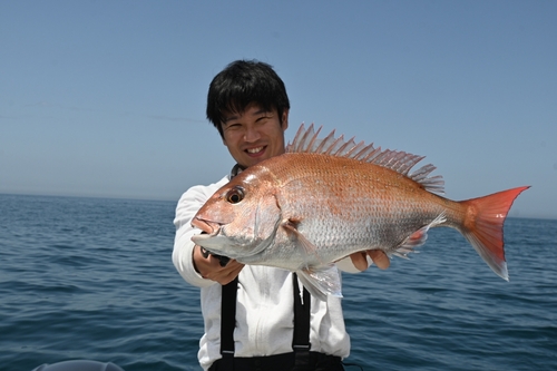 マダイの釣果