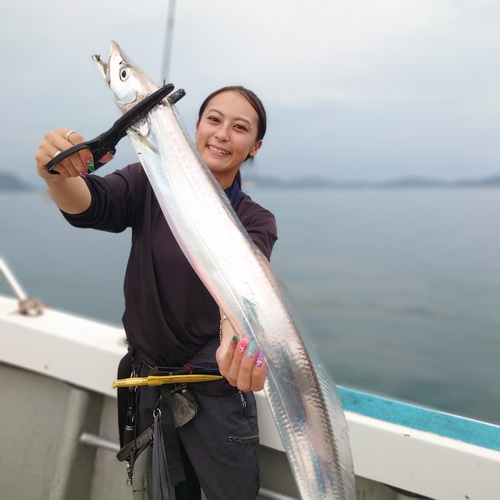 タチウオの釣果