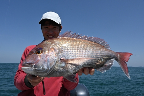 マダイの釣果