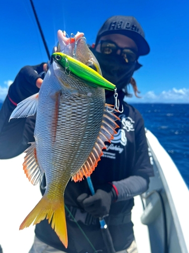 クチナジの釣果