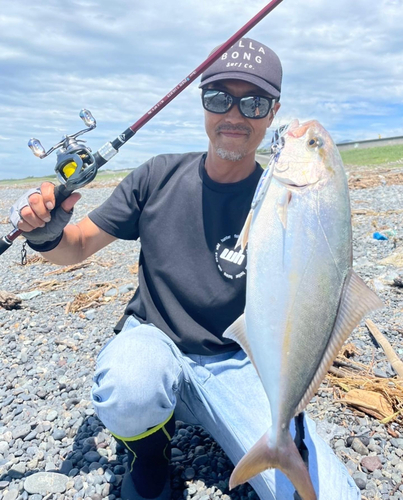 ショゴの釣果