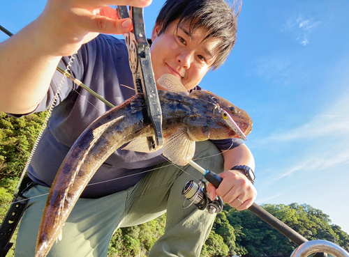 マゴチの釣果