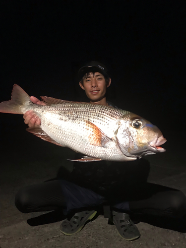 メイチダイの釣果