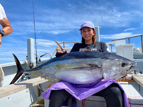 キハダマグロの釣果