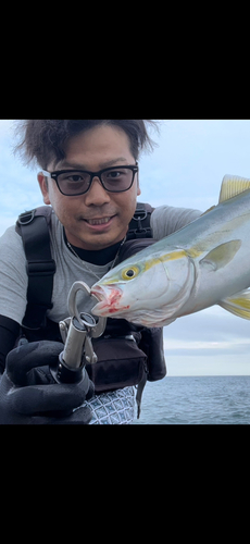 ワカシの釣果