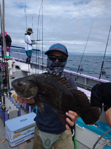 マツダイの釣果