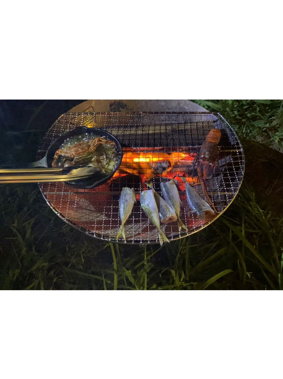 イセエビ