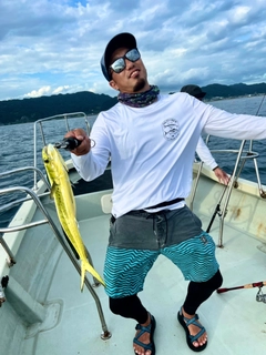 シイラの釣果