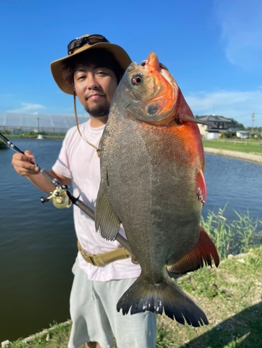 コロソマの釣果