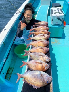 マダイの釣果