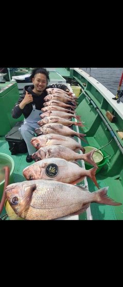 マダイの釣果