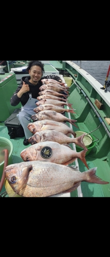 マダイの釣果