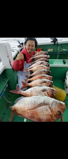 マダイの釣果