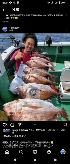 マダイの釣果