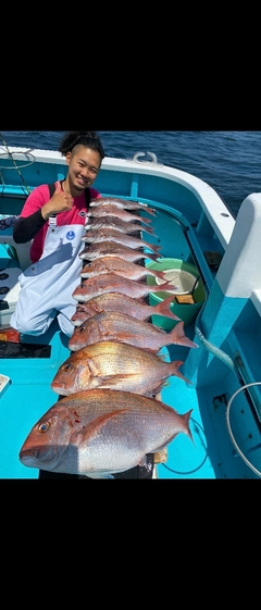 マダイの釣果