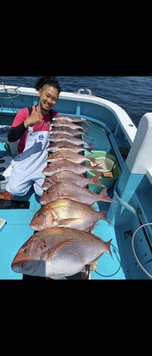 マダイの釣果