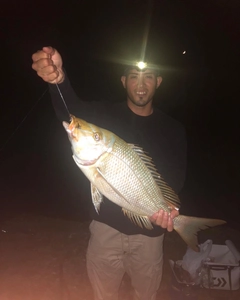 イラブチャーの釣果