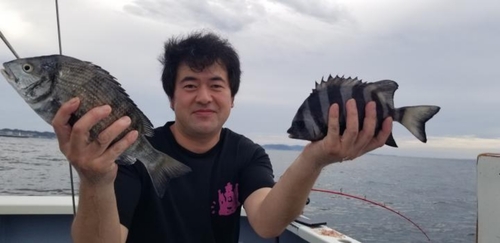 イシダイの釣果