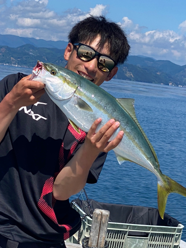 ブリの釣果