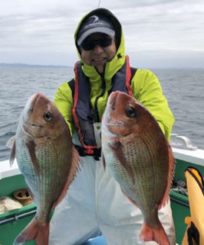 マダイの釣果