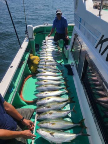 ワラサの釣果