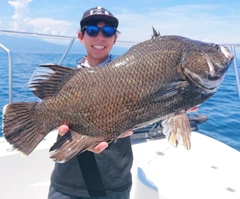 マツダイの釣果