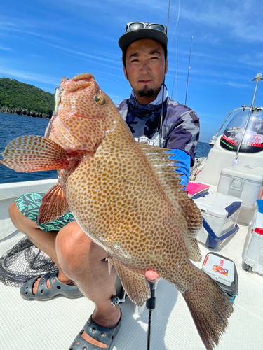 オオモンハタの釣果