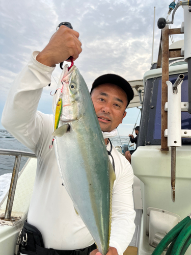 ハマチの釣果