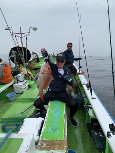 マダイの釣果